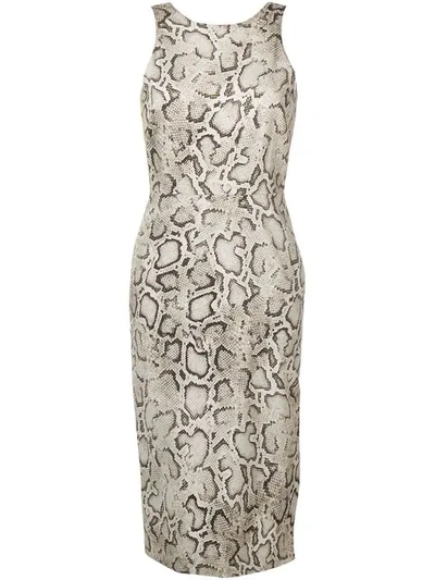 Shop Pinko Python Print Fitted Dress In Cl1