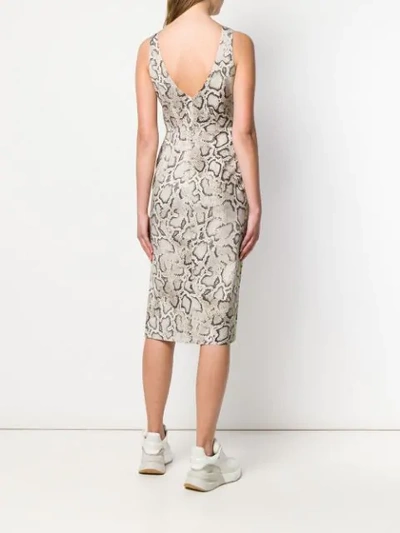 Shop Pinko Python Print Fitted Dress In Cl1