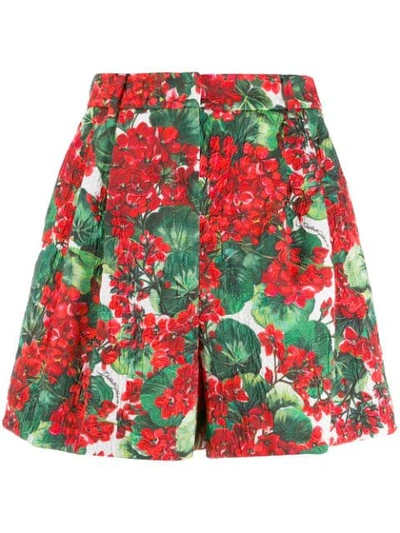 Shop Dolce & Gabbana Brocade Floral Shorts In Red