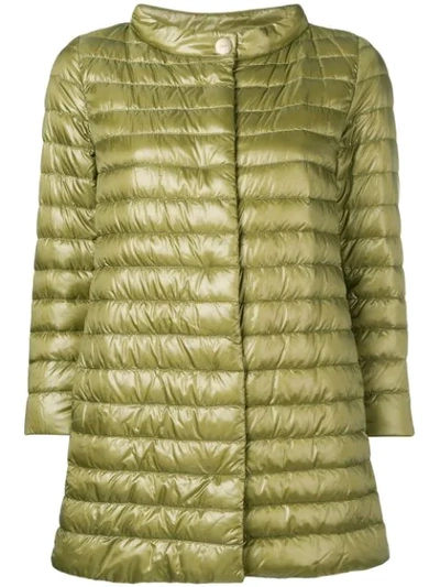 Shop Herno Funnel Neck Padded Jacket In Green