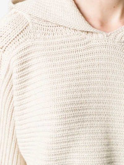 Shop Alice And Olivia Hooded Sweater In Z971 Oatmeal