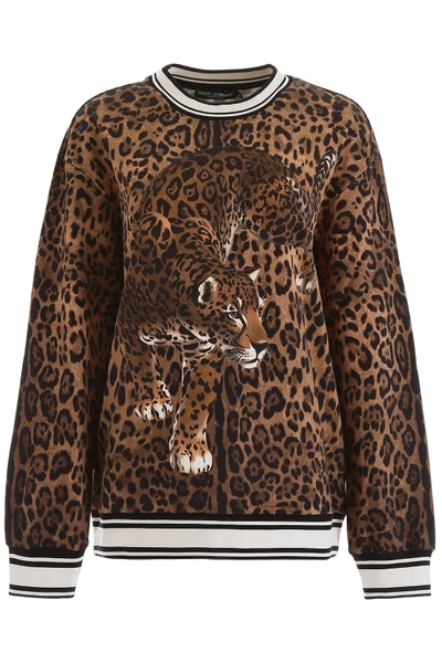 Shop Dolce & Gabbana Leopard-printed Sweatshirt In Leopardo F Do Leo (brown)