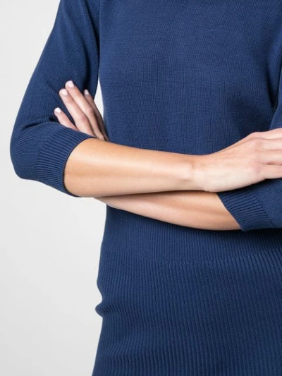 Shop Alexandra Golovanoff Fitted Sweater In Blue