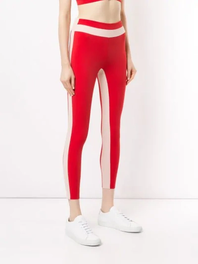 Shop Vaara Freya Tuxedo Leggings In Red