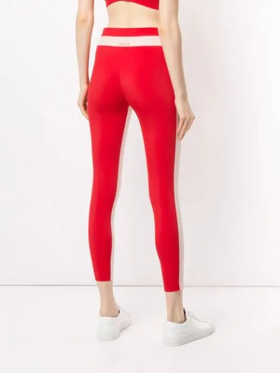 Shop Vaara Freya Tuxedo Leggings In Red