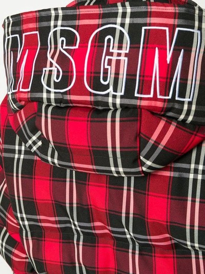 Shop Msgm Checked Bomber Jacket In Red