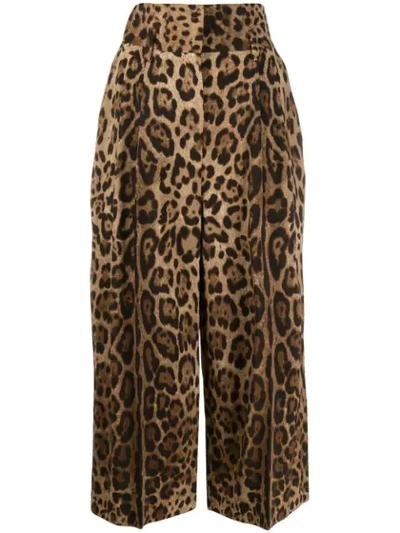 Shop Dolce & Gabbana Cropped Leopard Trousers In Brown