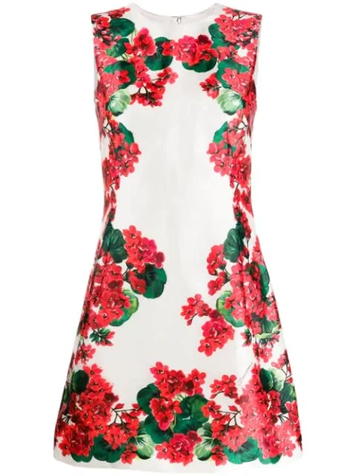 Shop Dolce & Gabbana Floral Print Dress In White