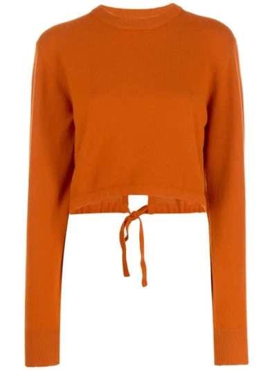 Shop Chloé Long Sleeve Cropped Sweater In Brown