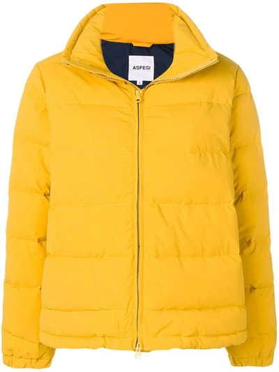 Shop Aspesi Klassische Daunenjacke In 01159 Yellow