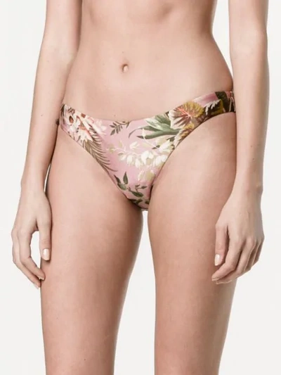 Shop Zimmermann Floral Print Bikini Bottom In Pink Floral