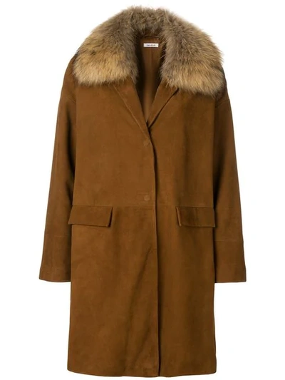 Shop P.a.r.o.s.h. Raccoon Fur Collar Coat In Brown