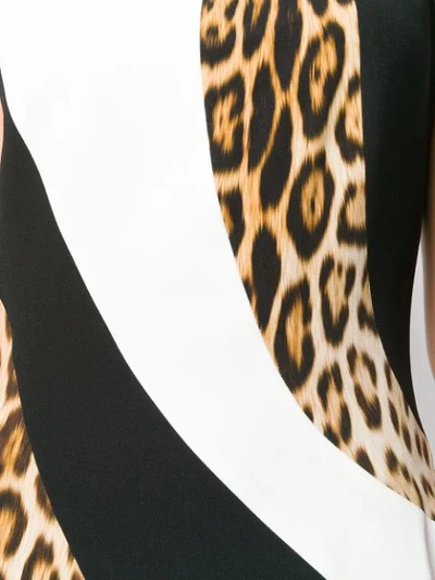 Shop Roberto Cavalli Leopard Panel Dress In Black