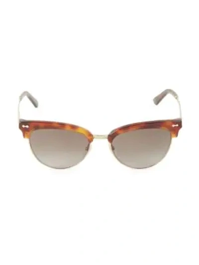 Shop Gucci 55mm Havana Tortoise Sunglasses