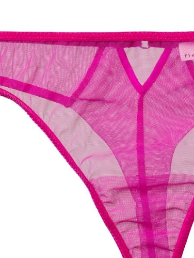 Shop Fleur Du Mal Velvet Trim Thong In Pink