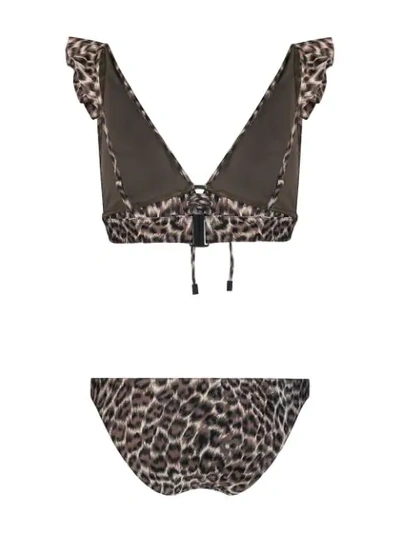 Shop Zimmermann Leopard Print Swimsuit In Neutrals