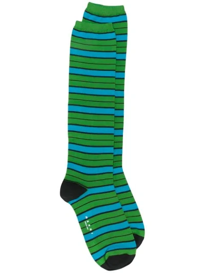 Shop Marni Striped Socks - Green
