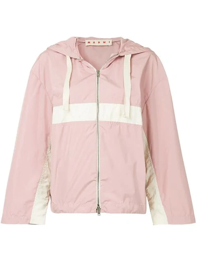 Shop Marni Colour-block Hooded Jacket In Pink