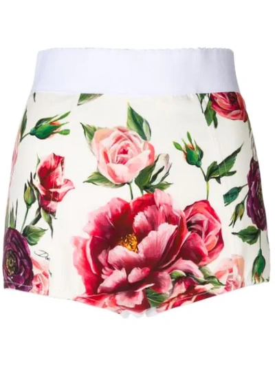 Shop Dolce & Gabbana Peony Print High Waisted Shorts In White