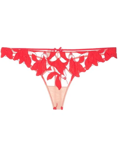 Shop Fleur Du Mal Lily Lace Thong In Red