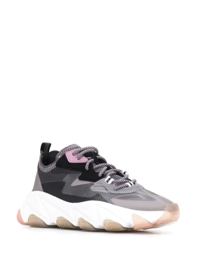Shop Ash Low-top Sneakers In Grey