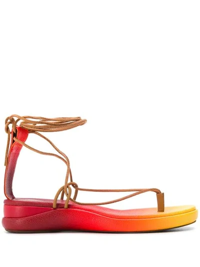 Shop Chloé Two Tone Sandals In 9x0 Yellow-red