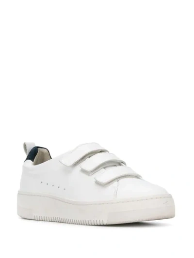 Shop Sandro Anita Sneakers In White