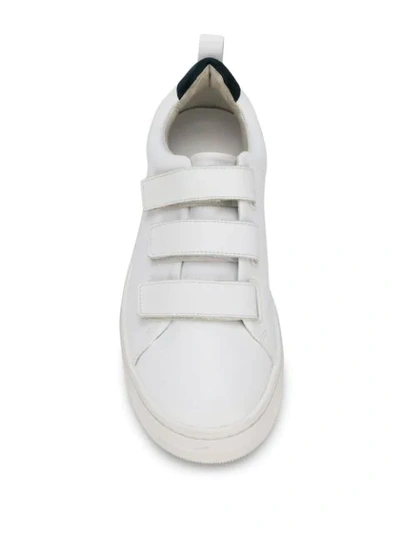 Shop Sandro Anita Sneakers In White