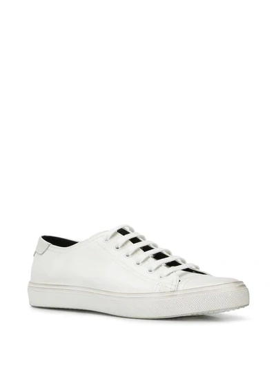 Shop Saint Laurent Bedford Sneakers In White