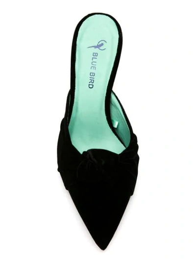 Shop Blue Bird Shoes Velvet Ana Mules In Black