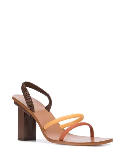 Shop Cult Gaia Heeled Kaia Sandals In Brown