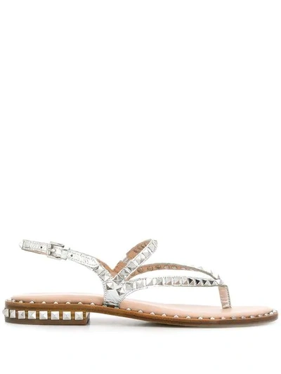 Shop Ash Peps Studded Sandals In Silver