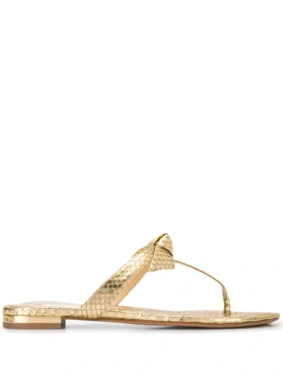 Shop Alexandre Birman Bow Detail Flip Flops In Gold