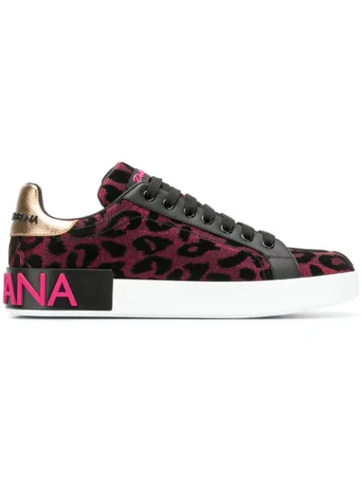 Shop Dolce & Gabbana Leopard Print Sneakers In Pink