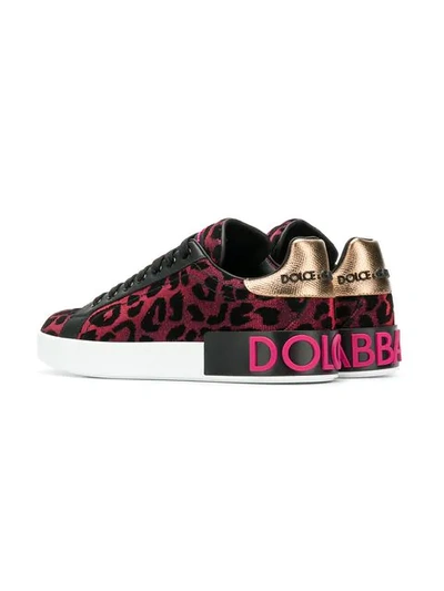 Shop Dolce & Gabbana Leopard Print Sneakers In Pink