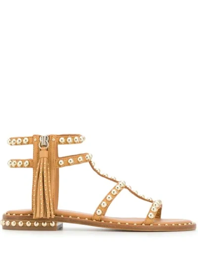 Shop Ash Flat Studded Sandals In Brown