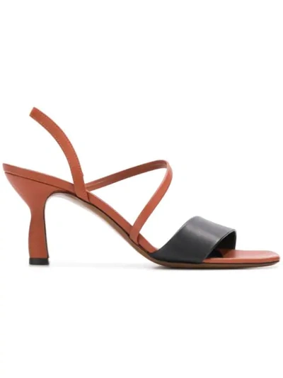 Shop Neous Ecu Sandals In Black ,brown