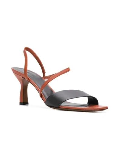 Shop Neous Ecu Sandals In Black ,brown