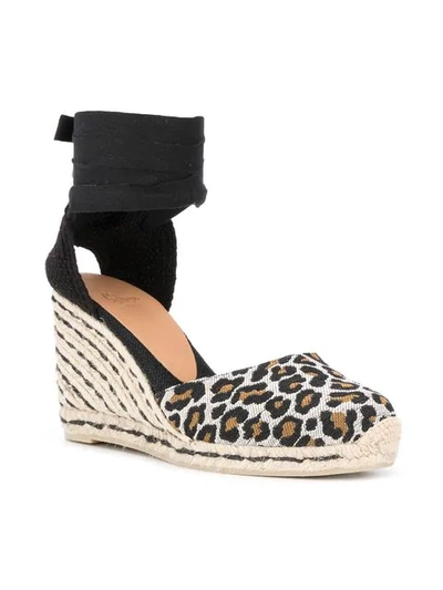 Shop Castaã±er Leopard Print Wedge Espadrilles In Black