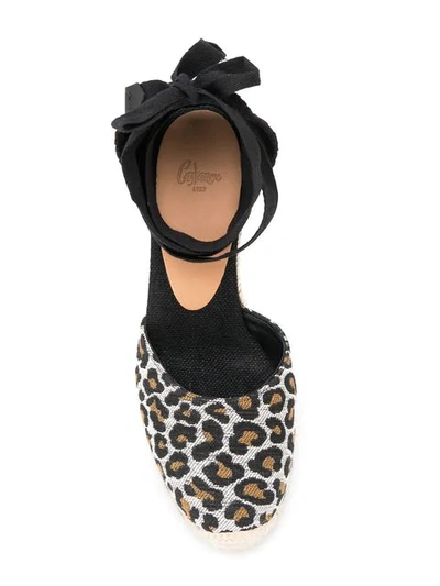 Shop Castaã±er Leopard Print Wedge Espadrilles In Black