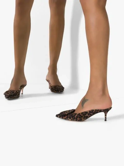 Shop Gianvito Rossi Ruby 55mm Leopard-print Mules In Brown