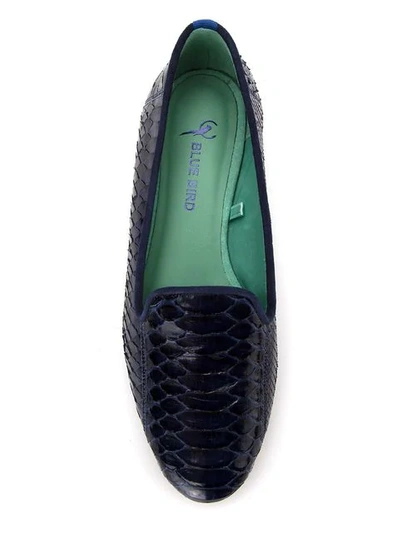 Shop Blue Bird Shoes Perforated Suede Loafer In Blue