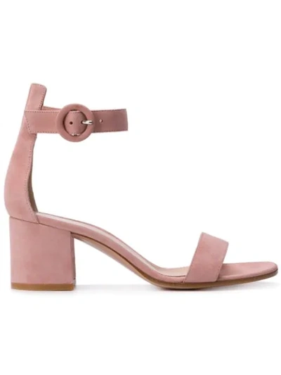 Shop Gianvito Rossi Versila 60 Sandals In Pink