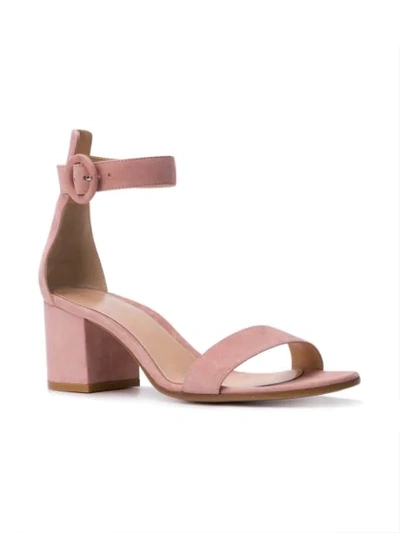 Shop Gianvito Rossi Versila 60 Sandals In Pink