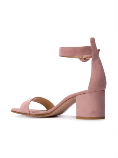 Shop Gianvito Rossi Versila 60 Sandals In Pink