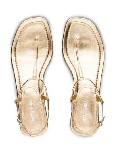 Shop Prada Thong Sandals In Metallic