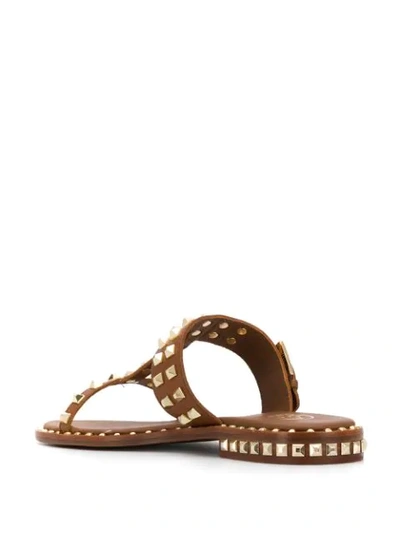 Shop Ash Open Toe Sandals In Brown