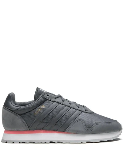 Shop Adidas Originals Haven Sneakers In Grey