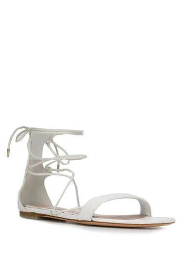 Shop Alexander Mcqueen Flat Tie-ankle Sandals In White