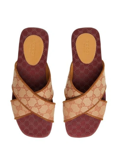 Shop Gucci Monogram Sandals In Brown
